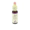 BACHBLÜTEN Original 18 Impatiens Tropfen 10 ml