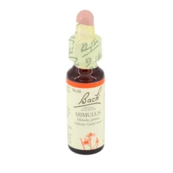 BACHBLÜTEN Original 20 Mimulus Tropfen 10 ml