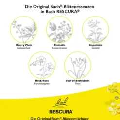 BACHBLÜTEN Original Rescura Past.schw.Johannisb. 50 g