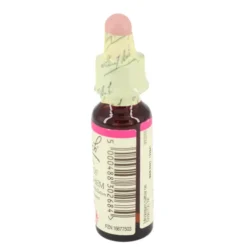 BACHBLÜTEN Original 29 Star of Bethlehem Tropfen 10 ml