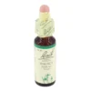 BACHBLÜTEN Original 33 Walnut Tropfen 10 ml