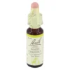 BACHBLÜTEN Original 35 White Chestnut Tropfen 10 ml