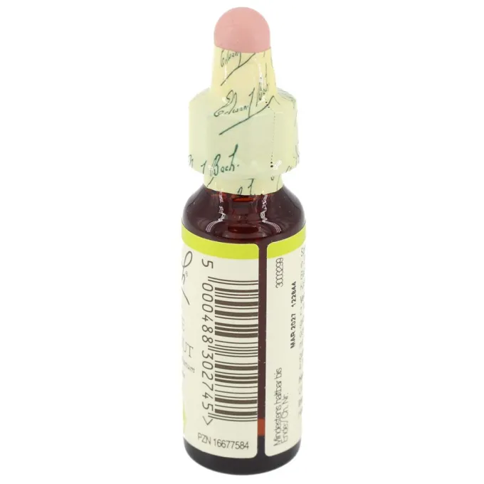 BACHBLÜTEN Original 35 White Chestnut Tropfen 10 ml