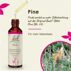 BACHBLÜTEN Pine Tropfen 20 ml