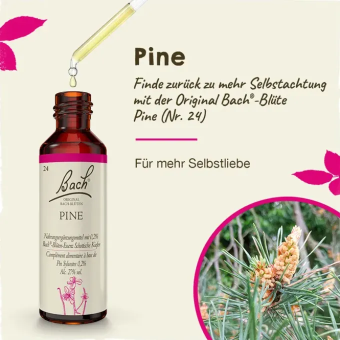 BACHBLÜTEN Pine Tropfen 20 ml