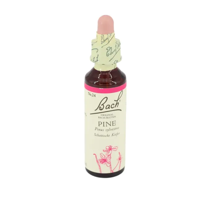 BACHBLÜTEN Pine Tropfen 20 ml