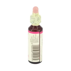 BACHBLÜTEN Pine Tropfen 20 ml