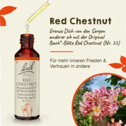 BACHBLÜTEN Red Chestnut Tropfen 20 ml