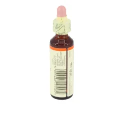 BACHBLÜTEN Red Chestnut Tropfen 20 ml
