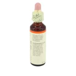 BACHBLÜTEN Red Chestnut Tropfen 20 ml