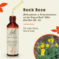 BACHBLÜTEN Rock Rose Tropfen 20 ml