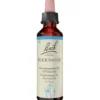 BACHBLÜTEN Rock Water Tropfen 20 ml