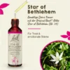 BACHBLÜTEN Star of Bethlehem Tropfen 20 ml