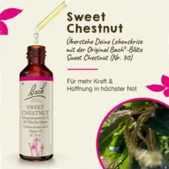 BACHBLÜTEN Sweet Chestnut Tropfen 20 ml