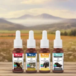 BACHBLÜTEN Tiere Tropfen Angst 20 ml