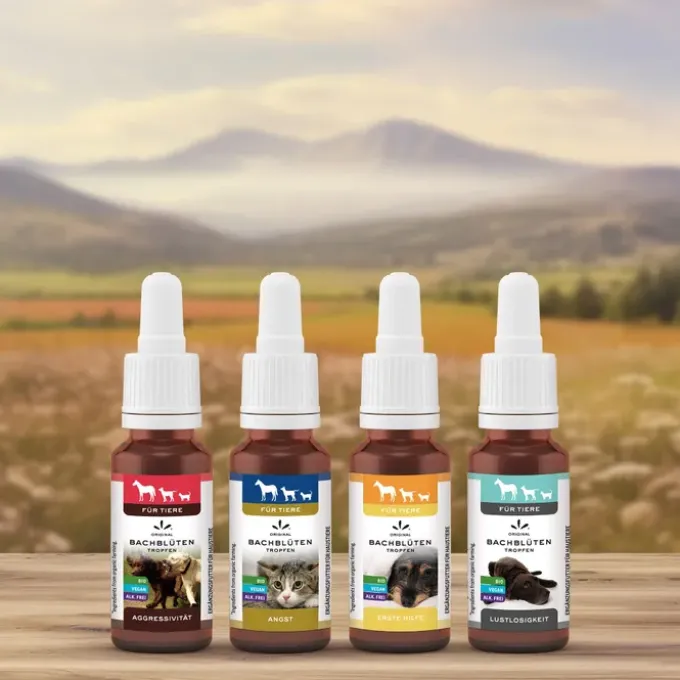 BACHBLÜTEN Tiere Tropfen Angst 20 ml