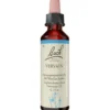 BACHBLÜTEN Vervain Tropfen 20 ml