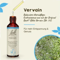 BACHBLÜTEN Vervain Tropfen 20 ml