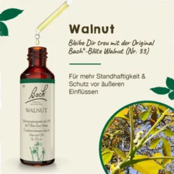 BACHBLÜTEN Walnut Tropfen 20 ml