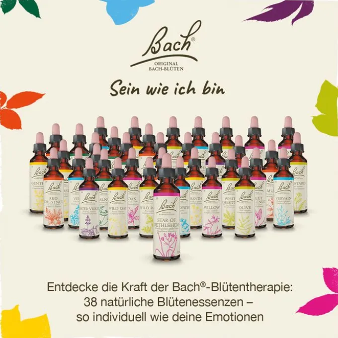 BACHBLÜTEN Walnut Tropfen 20 ml