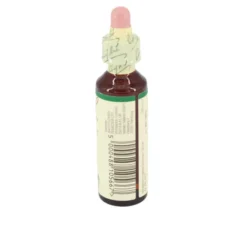 BACHBLÜTEN Walnut Tropfen 20 ml
