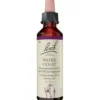 BACHBLÜTEN Water Violet Tropfen 20 ml