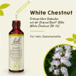 BACHBLÜTEN White Chestnut Tropfen 20 ml