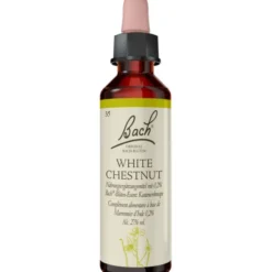 BACHBLÜTEN White Chestnut Tropfen 20 ml