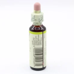BACHBLÜTEN White Chestnut Tropfen 20 ml