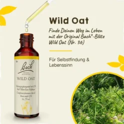 BACHBLÜTEN Wild Oat Tropfen 20 ml