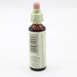 BACHBLÜTEN Wild Oat Tropfen 20 ml