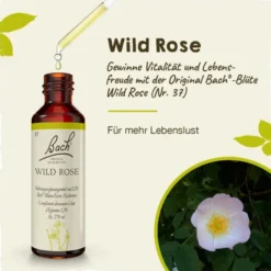 BACHBLÜTEN Wild Rose Tropfen 20 ml