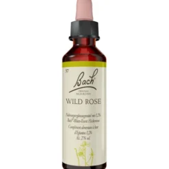 BACHBLÜTEN Wild Rose Tropfen 20 ml