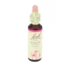 BACHBLÜTEN Willow Tropfen 20 ml