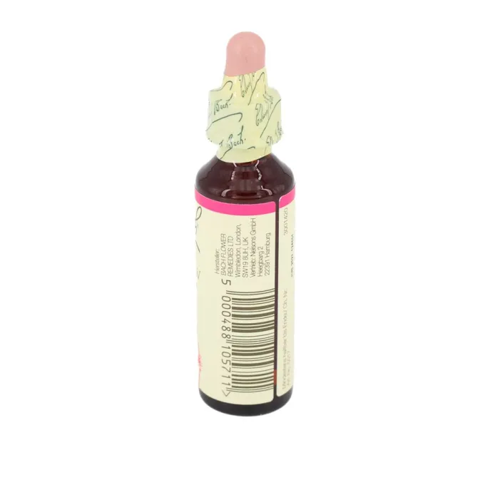 BACHBLÜTEN Willow Tropfen 20 ml