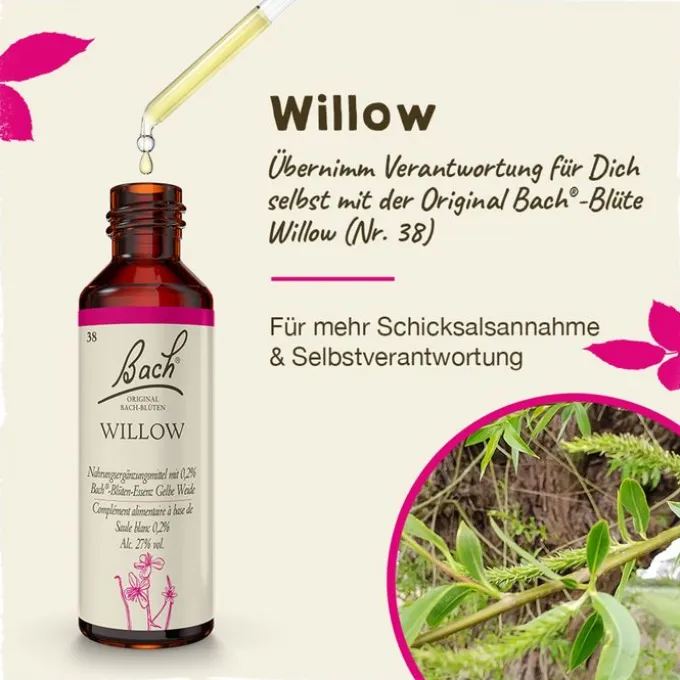 BACHBLÜTEN Willow Tropfen 20 ml