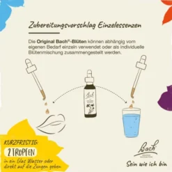 BACHBLÜTEN Willow Tropfen 20 ml