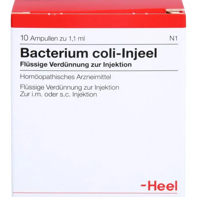 BACTERIUM COLI Injeel Ampullen 10 St