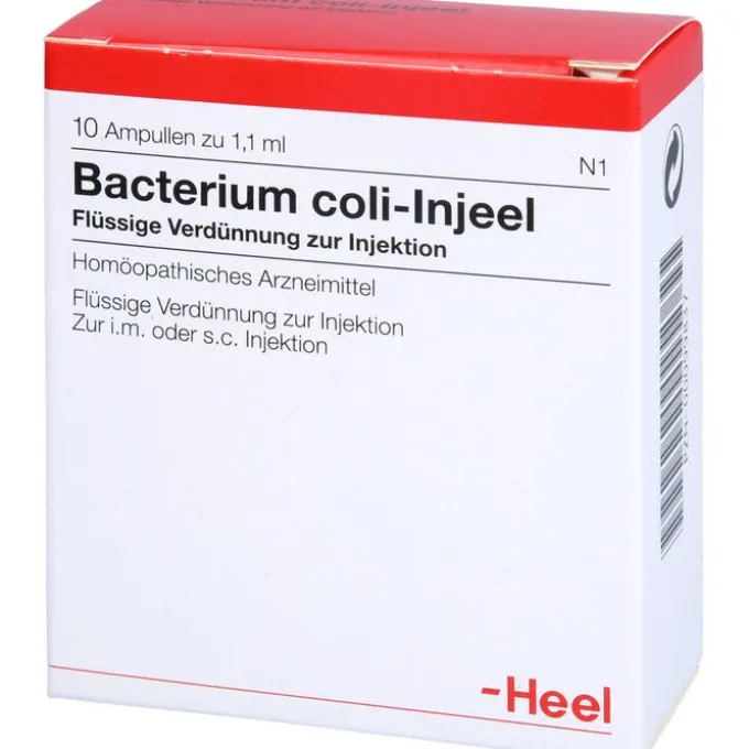 BACTERIUM COLI Injeel Ampullen 10 St