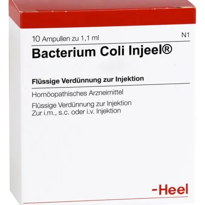 BACTERIUM COLI Injeel Ampullen 10 St