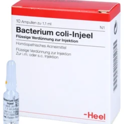 BACTERIUM COLI Injeel Ampullen 10 St