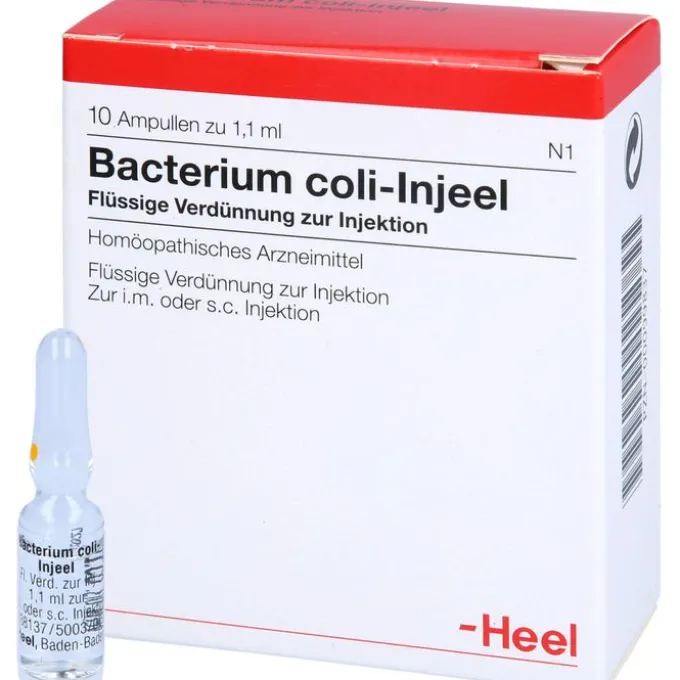BACTERIUM COLI Injeel Ampullen 10 St