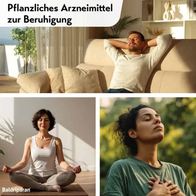 BALDRIPARAN zur Beruhigung überzogene Tabletten 120 St