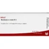 BAMBUSA E NODO D 3 Ampullen 10X1 ml