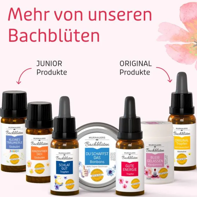 BB Gute Energie Tropfen 20 ml