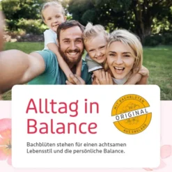 BB Gute Energie Tropfen 20 ml