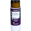 BELLADONNA D 6 Globuli Pflüger Globulispender 10 g