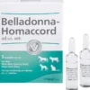 BELLADONNA HOMACCORD ad us.vet.Ampullen 5 St