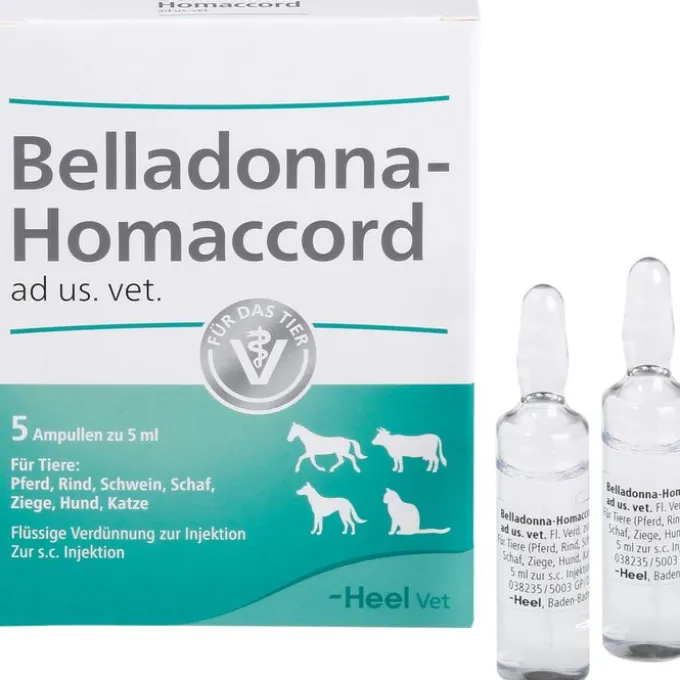 BELLADONNA HOMACCORD ad us.vet.Ampullen 5 St