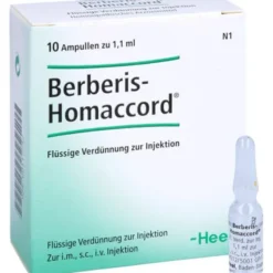 BERBERIS HOMACCORD Ampullen 10 St
